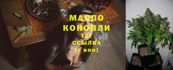 стафф Туринск