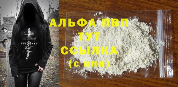 PSILOCYBIN Ельня