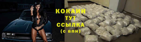 Альфа ПВП Елизово