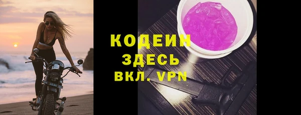 PSILOCYBIN Ельня