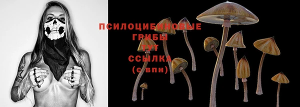 Альфа ПВП Елизово
