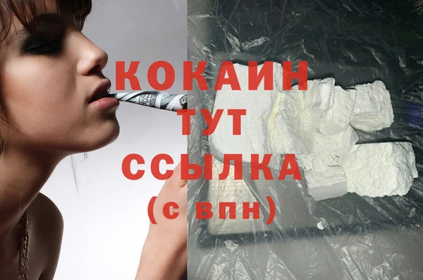 PSILOCYBIN Ельня